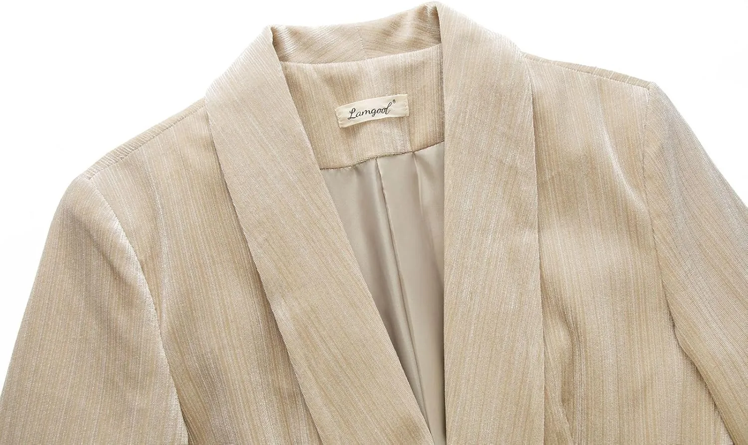 Lamgool Women Pantsuit Dressy Silver Thread Velvet 2 Piece Suit Set Blazer and Flared Pants