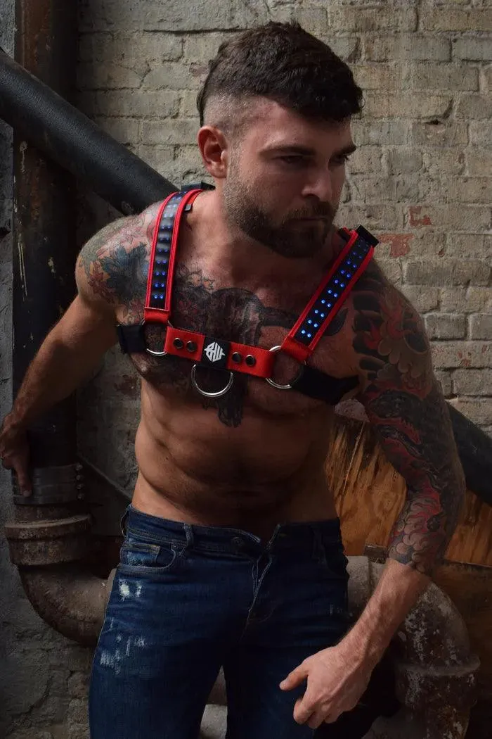 STARLIGHT BULLDOG HARNESS - RED