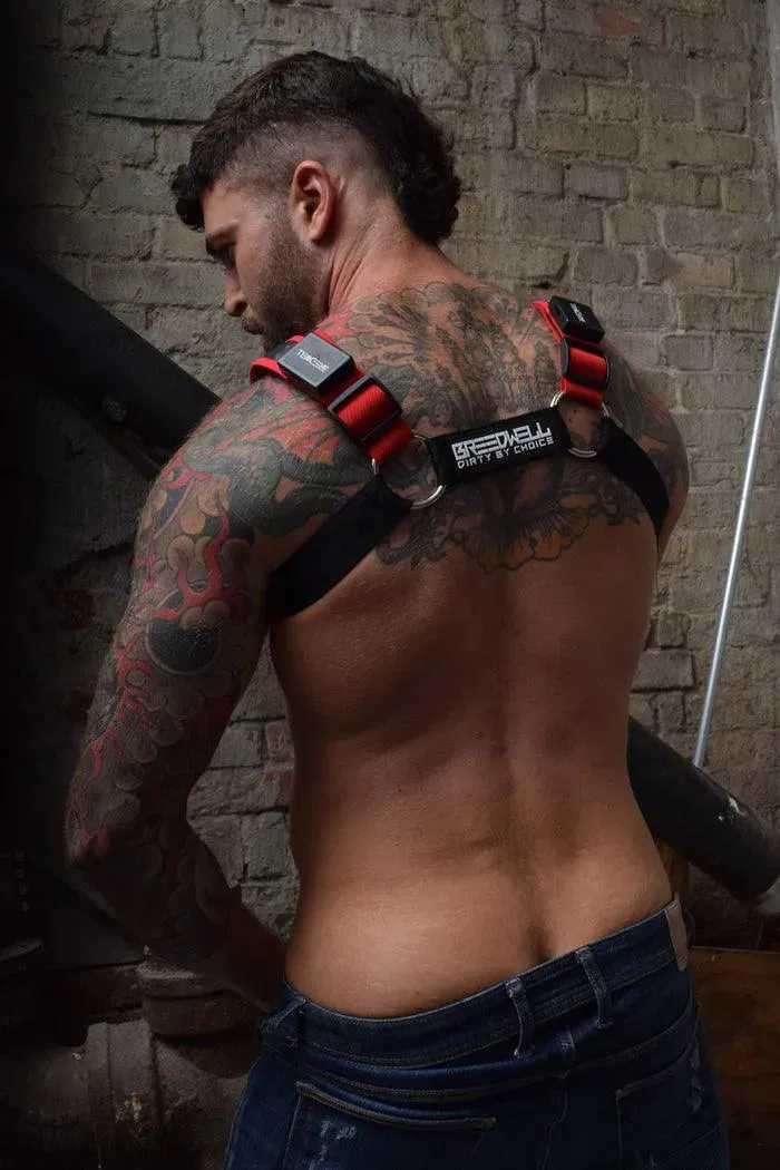 STARLIGHT BULLDOG HARNESS - RED